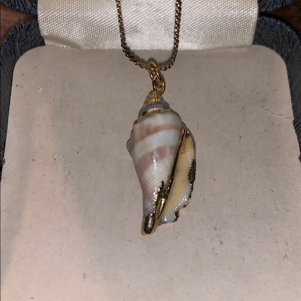 Shell necklace